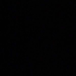 Meet your Posher, Tim